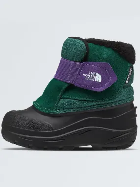 Alpenglow II Evergreen/Peak Purple Winter Boots (Kids)