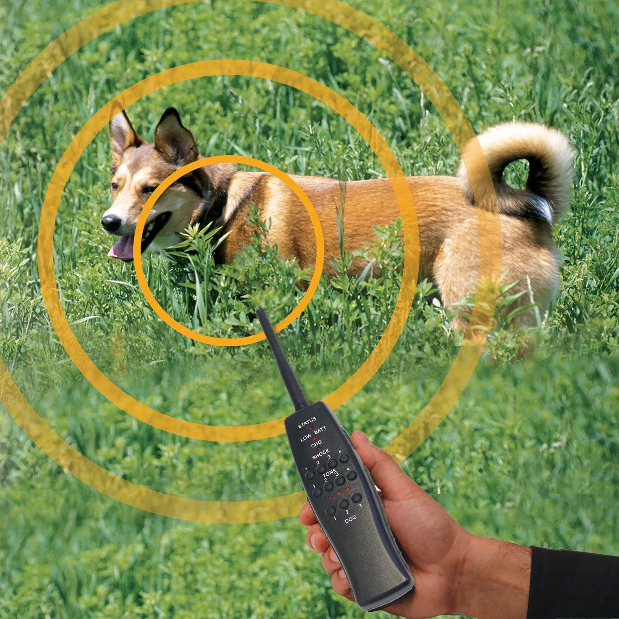 ET-1 Express Trainer - 1/2 Mile Remote Trainer - Add Up To 3 Dogs